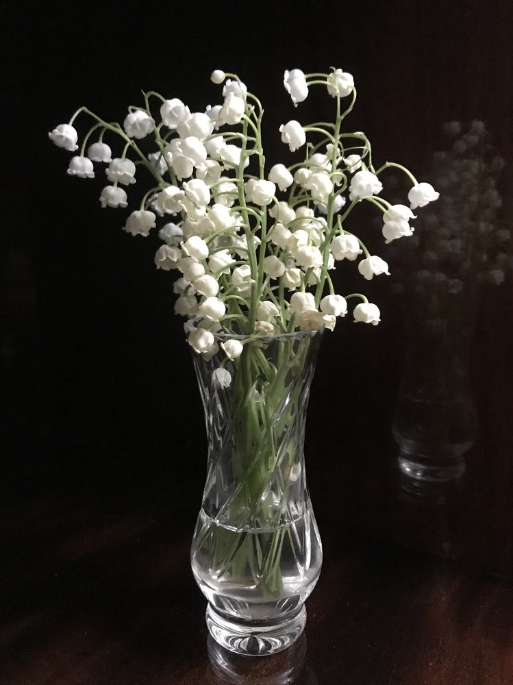 Photograph by Anar K. Amirova