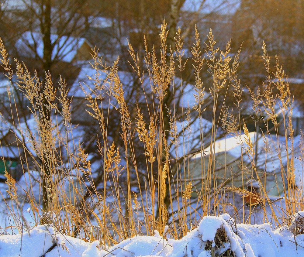 Солнце светит, но не греет.