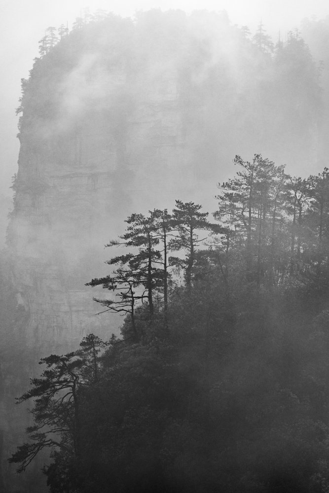 Фотография автора Вадим Жигулин