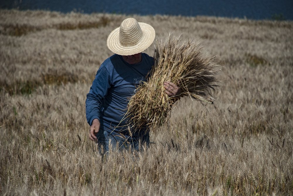 Photograph by Fernando Kluwe Dias
