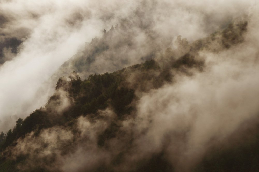 Фотография автора Artist RajNandini