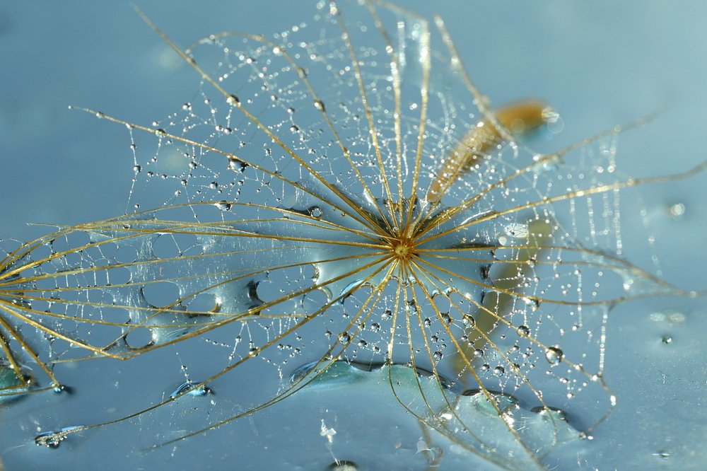 Photograph by Шруб (Беляева) Татьяна