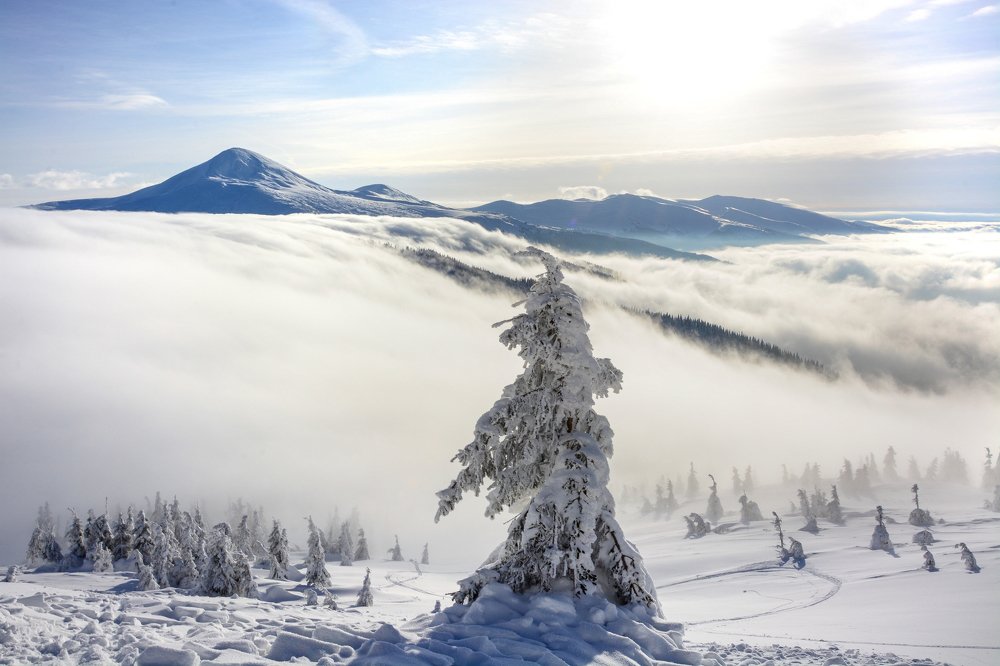 Photograph by Тетяна Даниляк