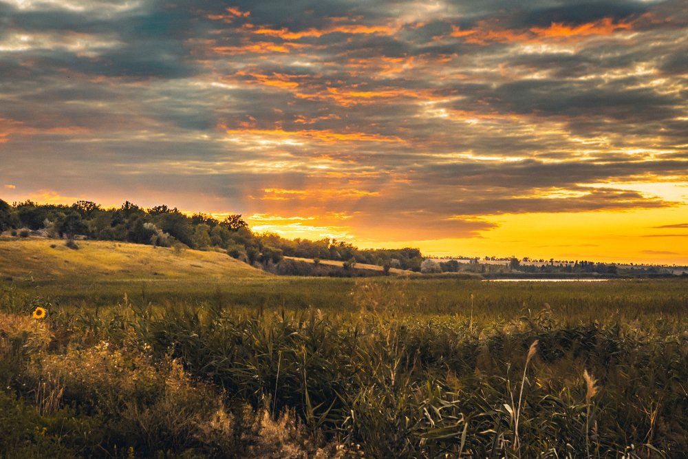 Photograph by Евгений Черкун