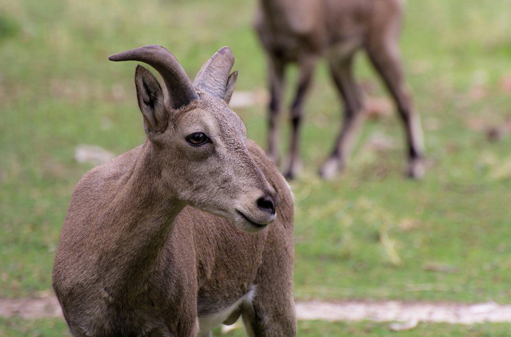 Photograph by Татьяна Зема