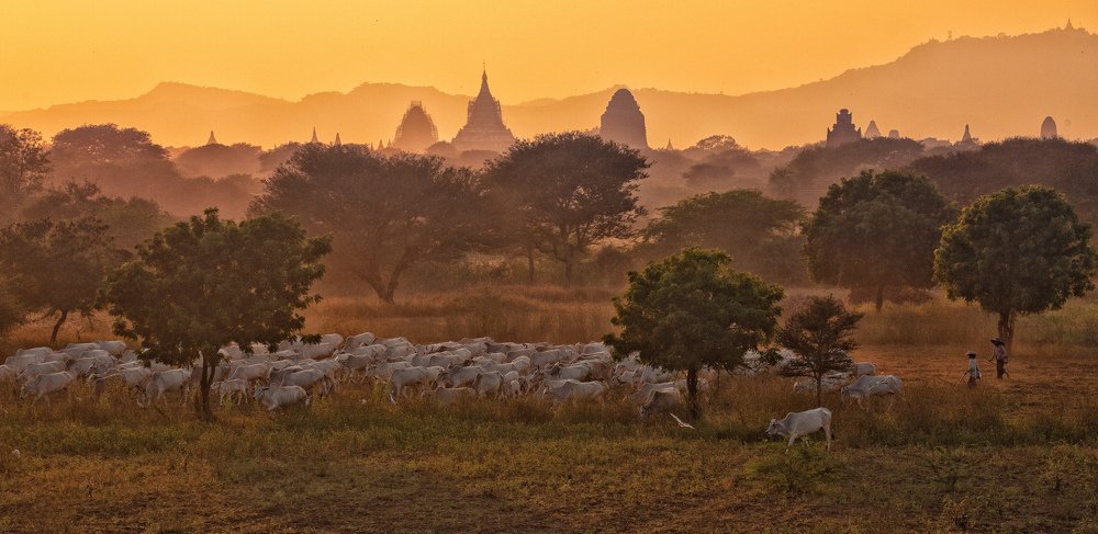 Photograph by Helen McLain