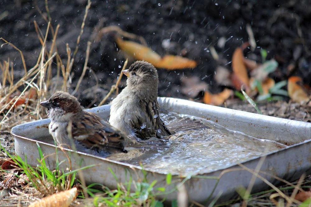 Photograph by Alexandr Dimitrov