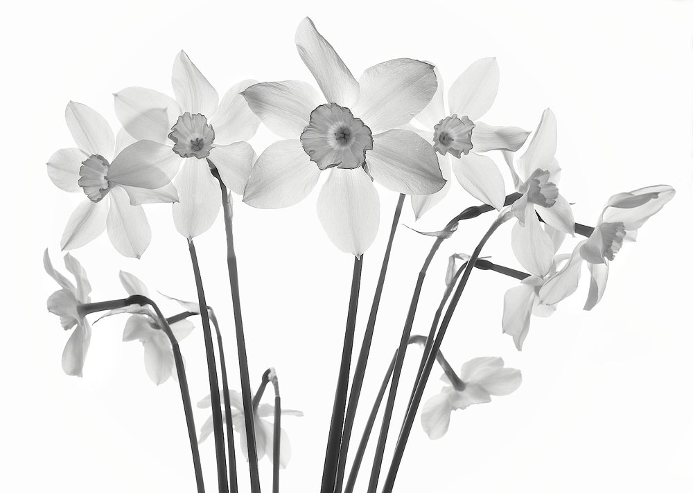 Photograph by Александр Зорин