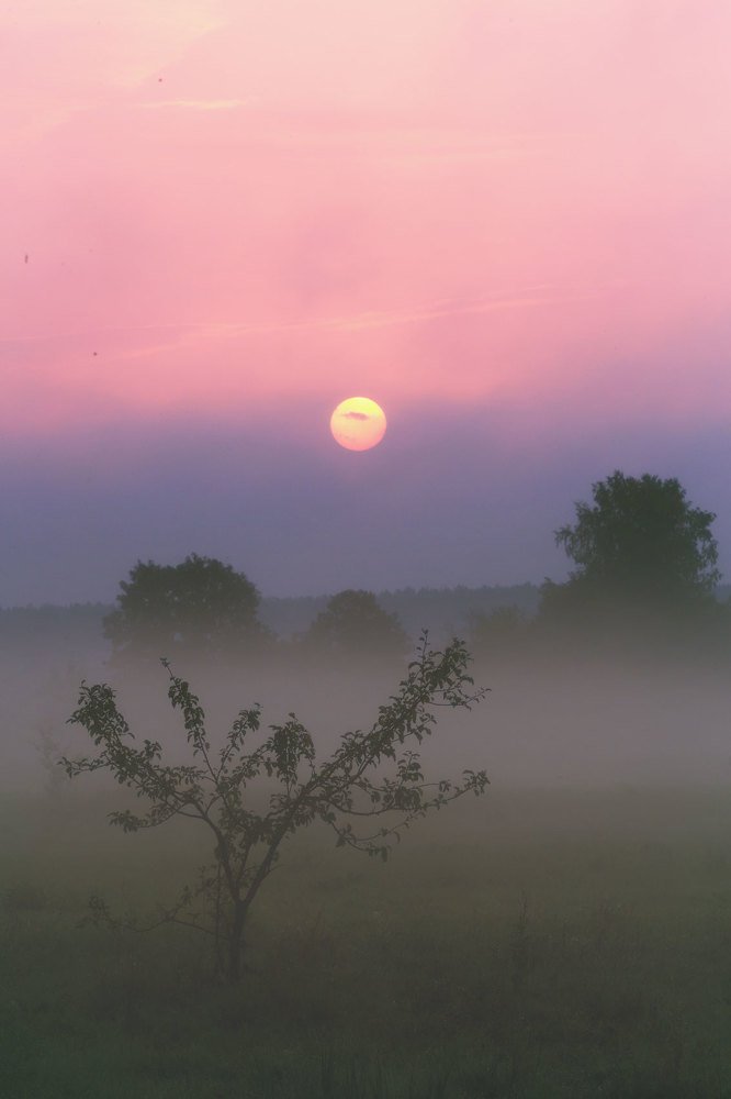 Утренние краски