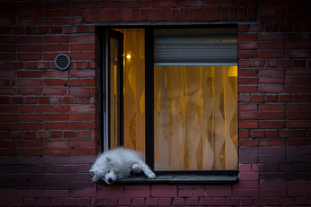 Photograph by Андрей Костромин