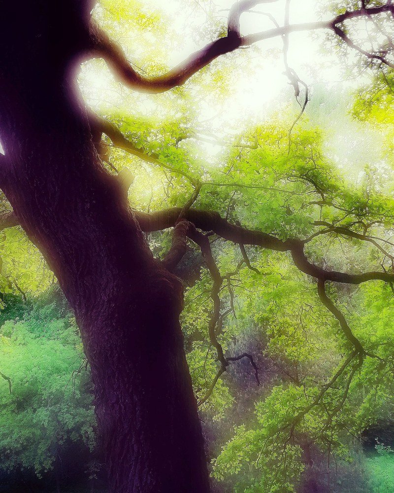 Фотография автора Павел Барский