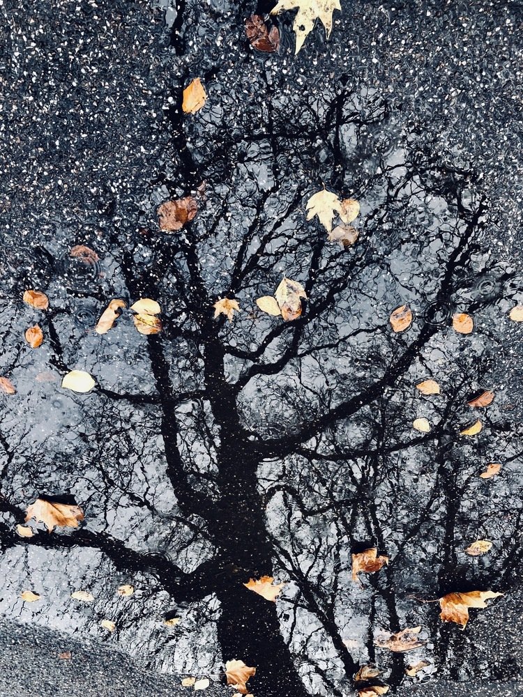 Photograph by Юлия