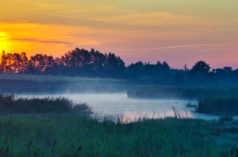 Туман над рекой.