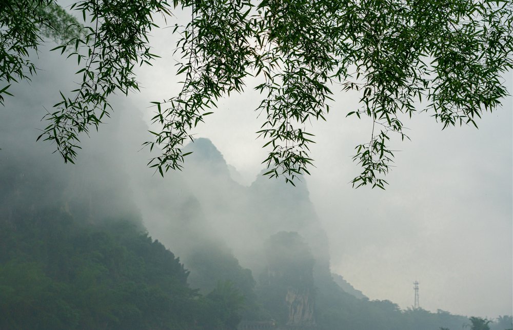 Фотография автора Вадим Жигулин