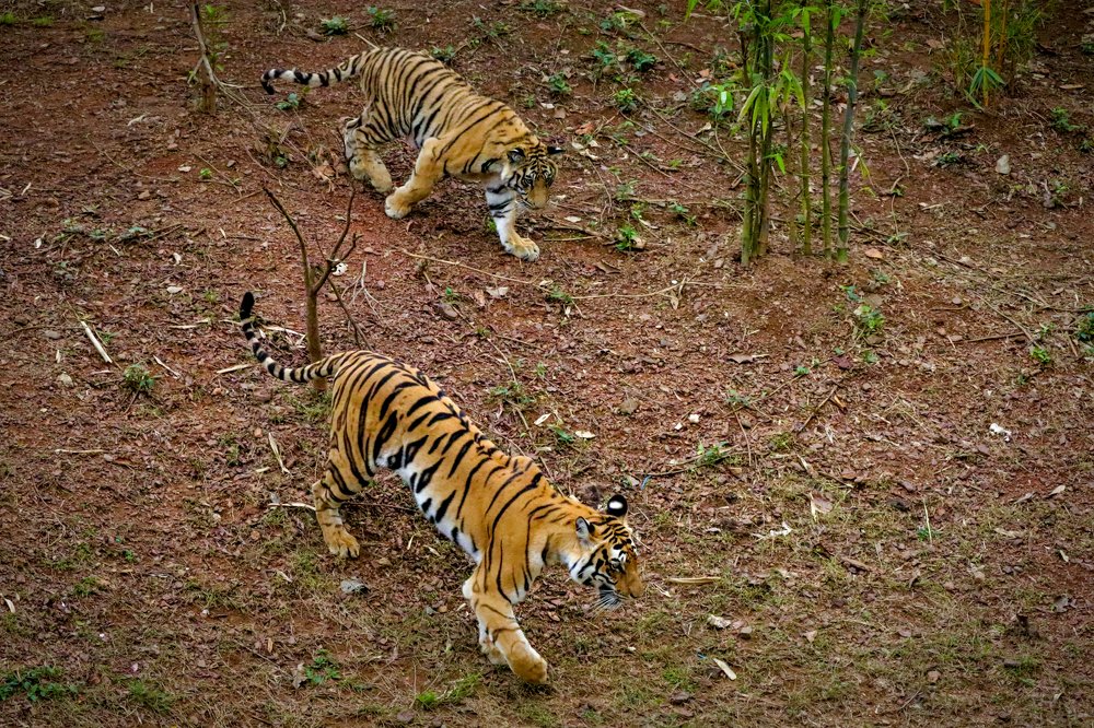 Photograph by Aman Kumar