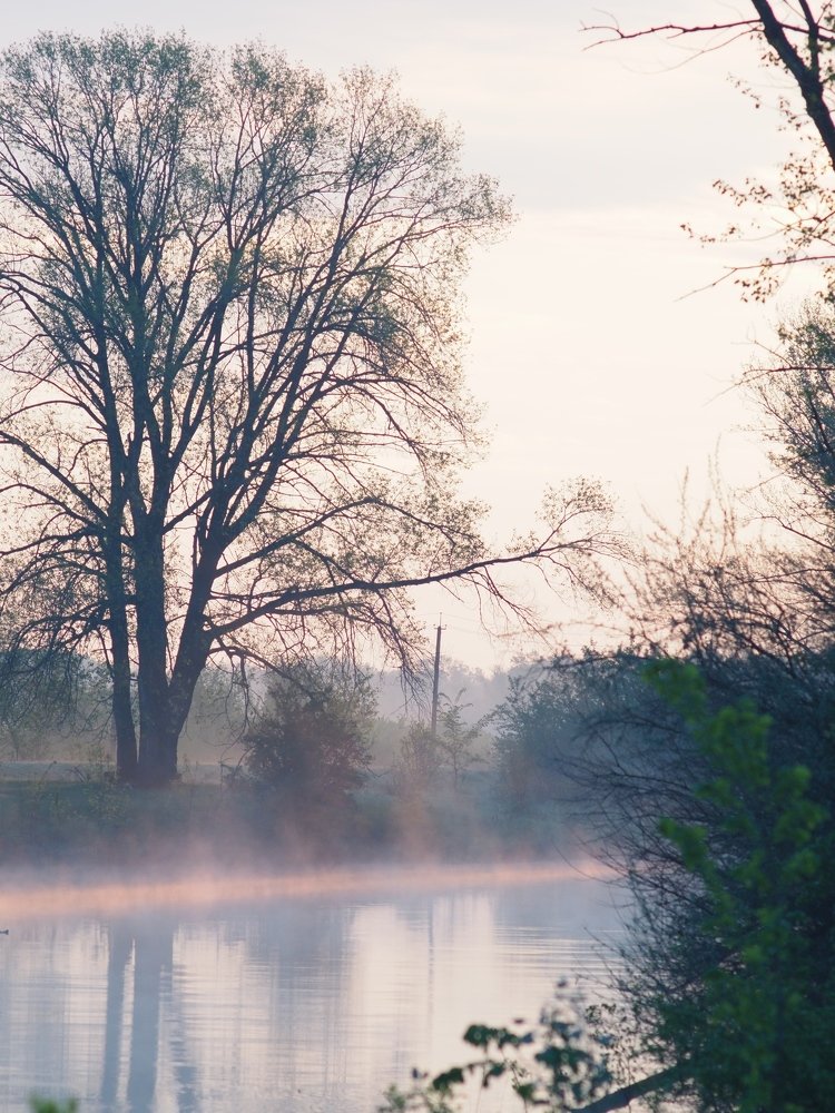 Photograph by Светлана Шибаршина