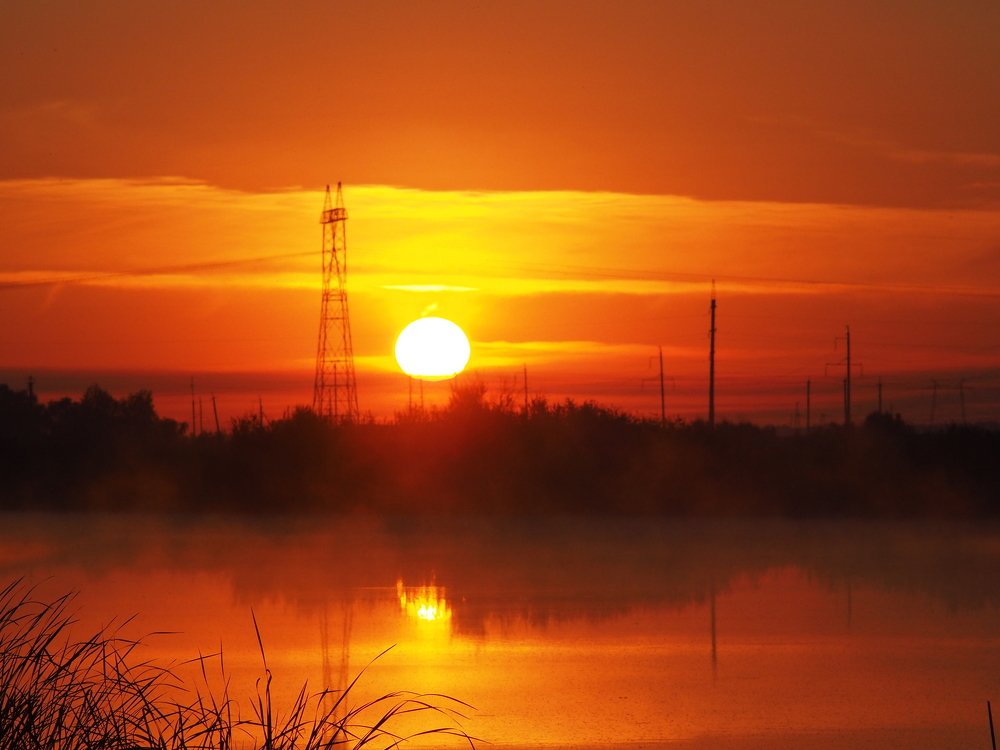 Photograph by Светлана Шибаршина