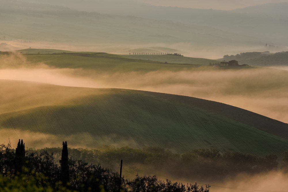 Photograph by Larisa Cekanaviсa