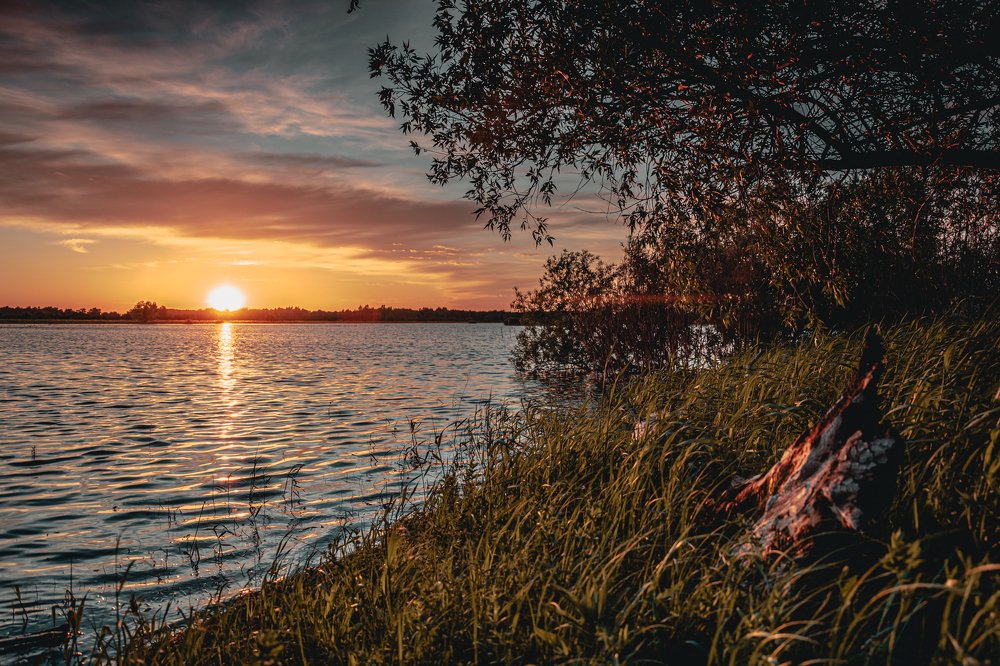 Photograph by Антон Мингалев
