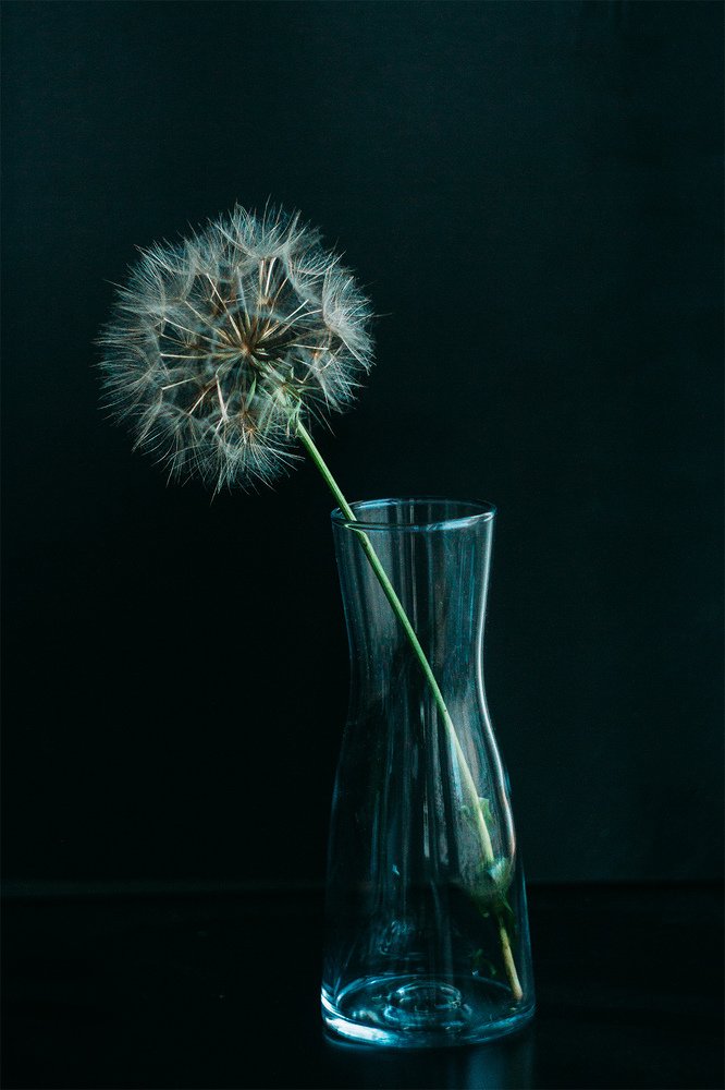 Photograph by Алена