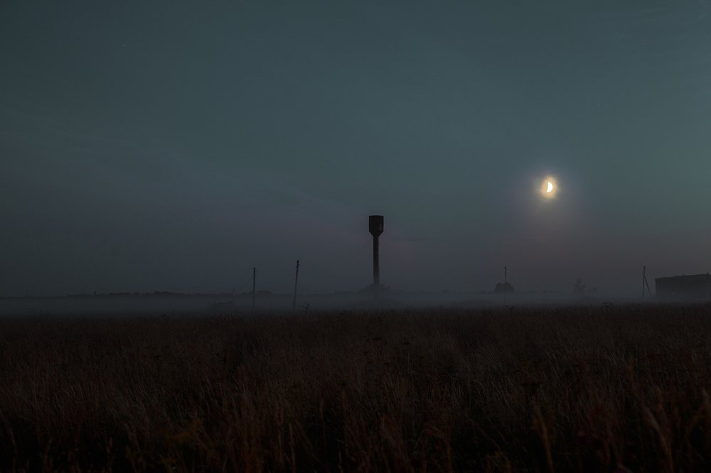 Photograph by Елизавета Савина