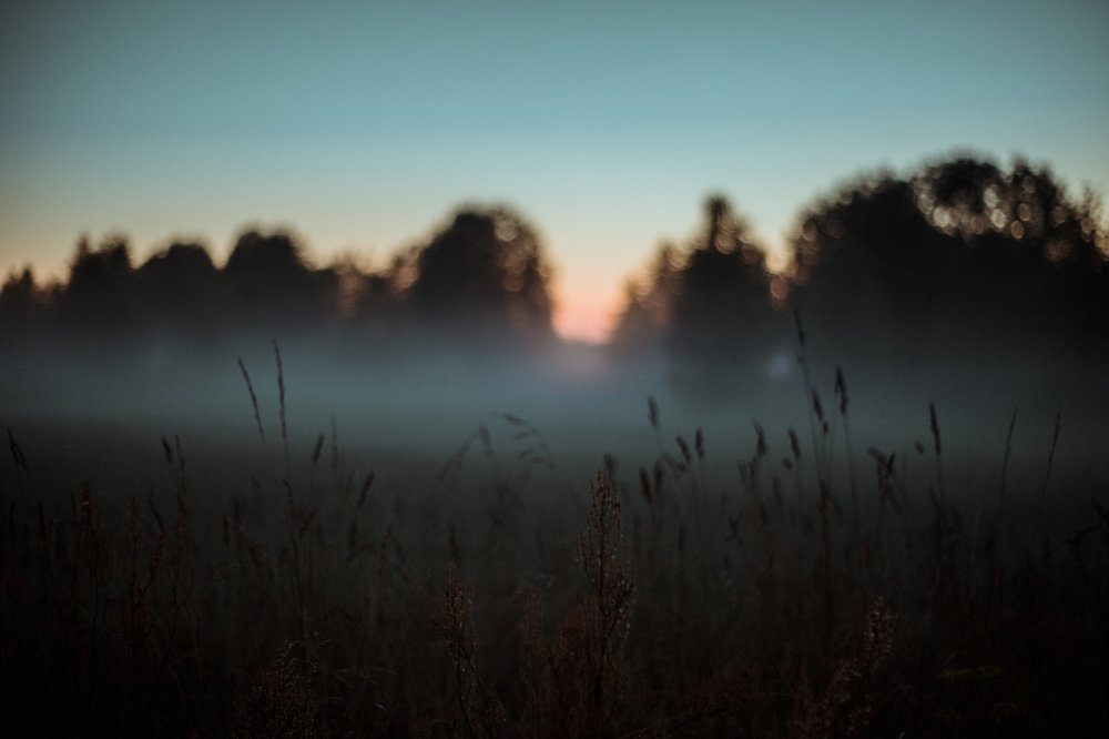 Photograph by Елизавета Савина