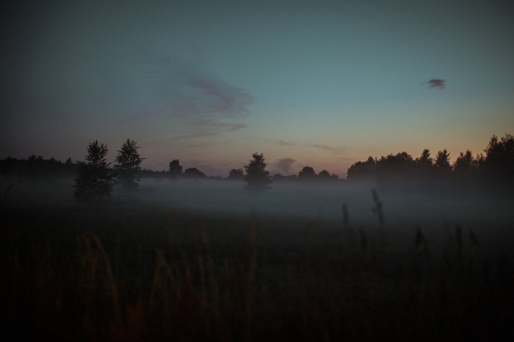 Photograph by Елизавета Савина