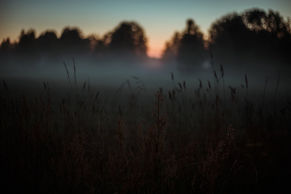 Photograph by Елизавета Савина