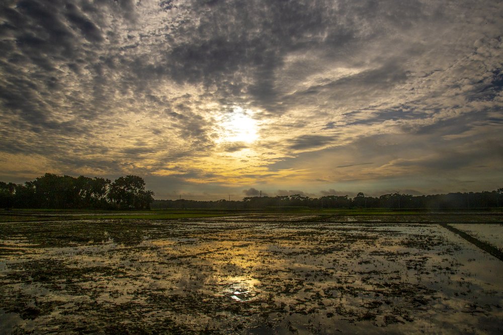 Photograph by Rafat Aldin Chowsik