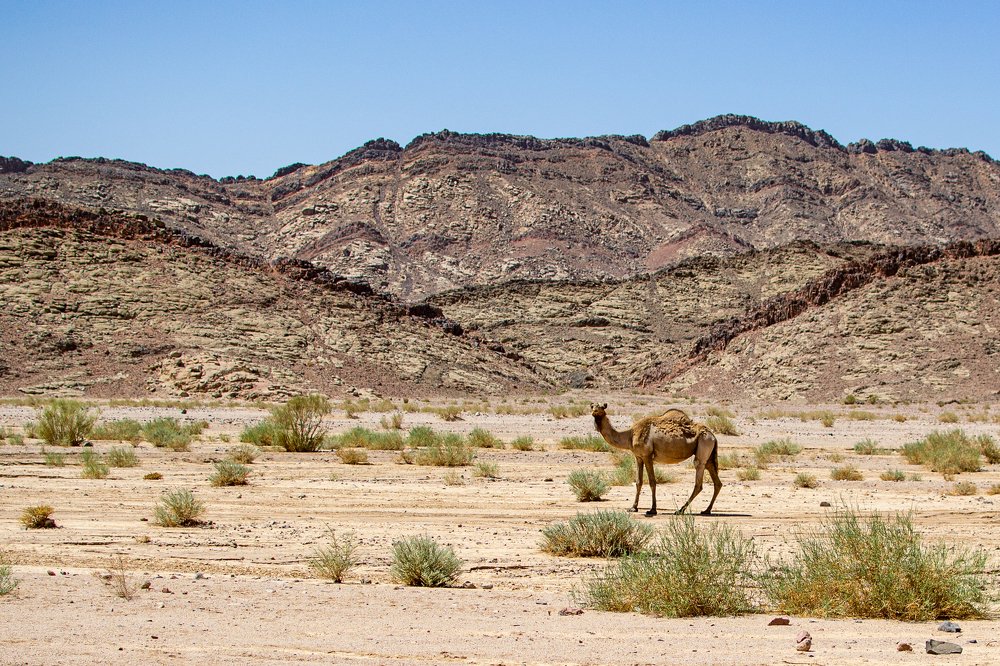 Photograph by Helmy Moataz