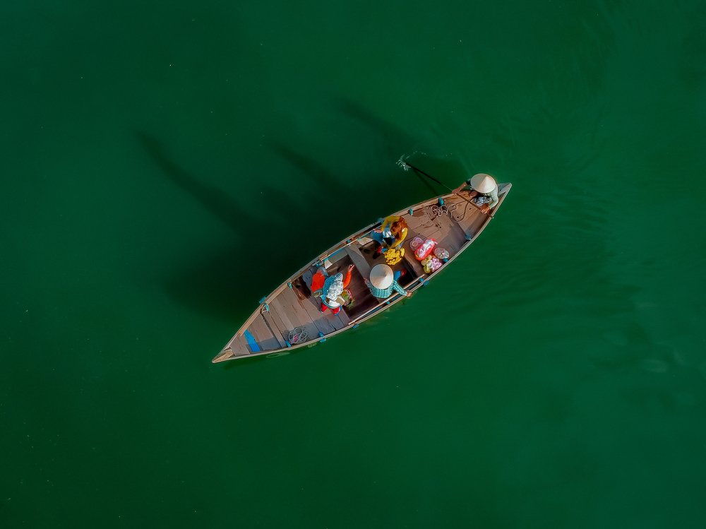 Фотография автора Do Anh Vu