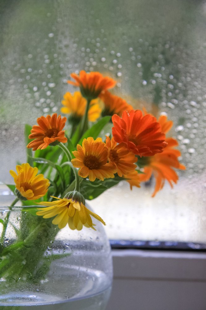 Photograph by Жанна Цветкова