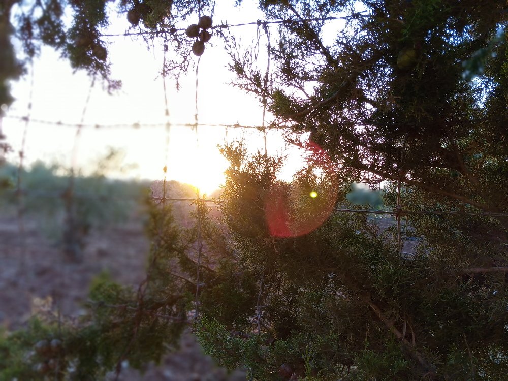 Photograph by Moussiqui Soukaina