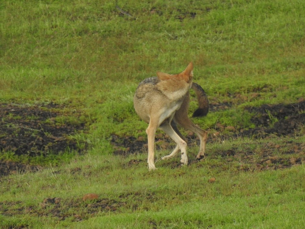 Photograph by Bhairawnath Wakale