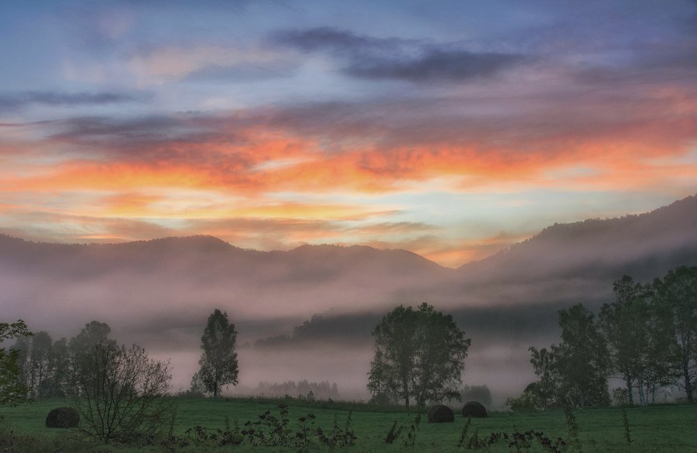 Photograph by lora_pavlova