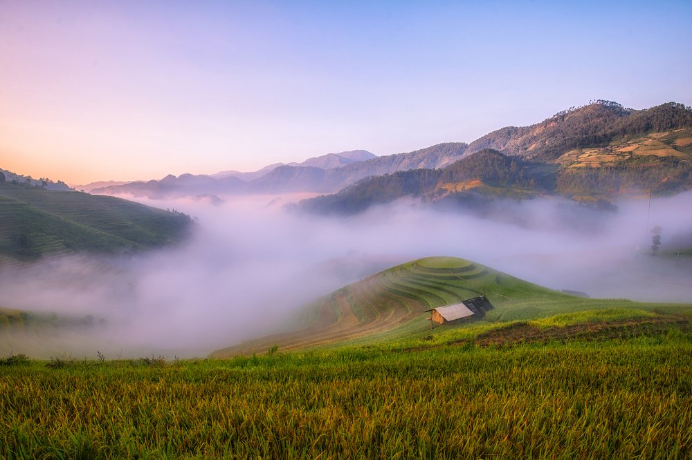 Photograph by Hoàn Nguyễn