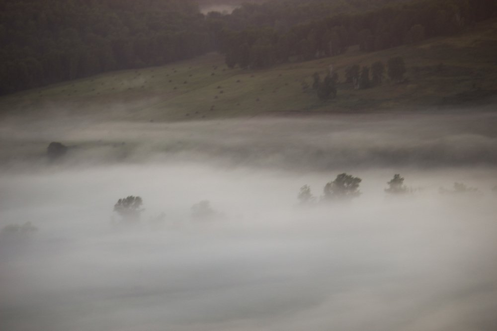 Фотография автора Надежда Саблина