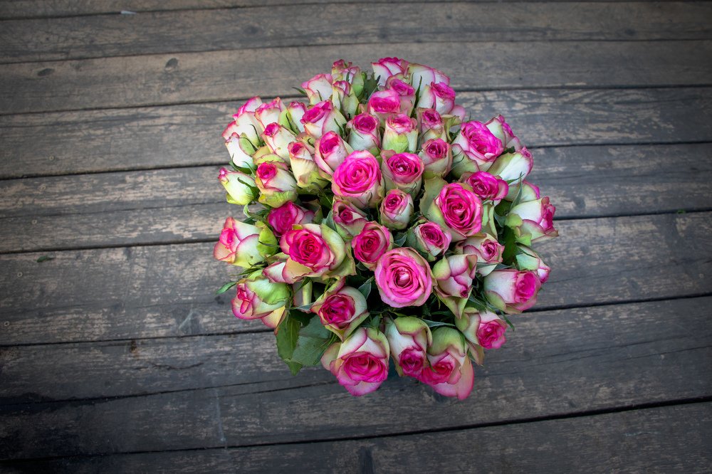 Photograph by Евгений Михеев