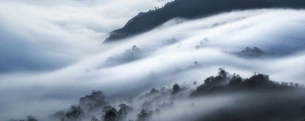 Photograph by Trieu Hung