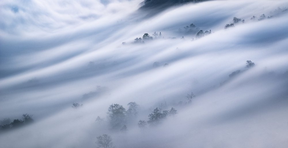 Photograph by Trieu Hung