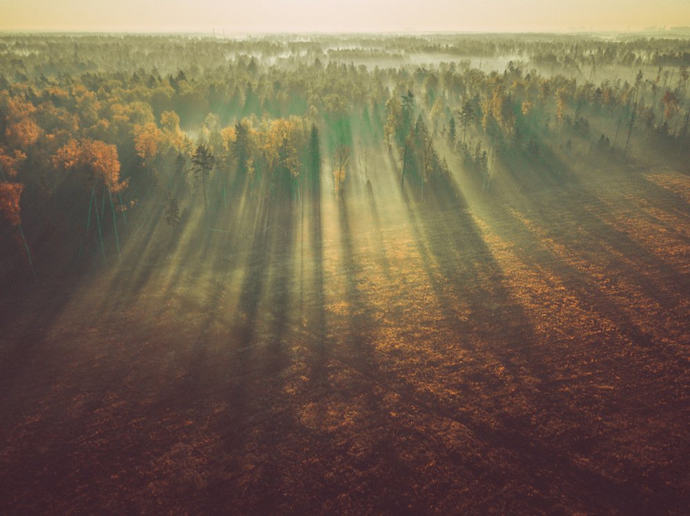 Туманное утро