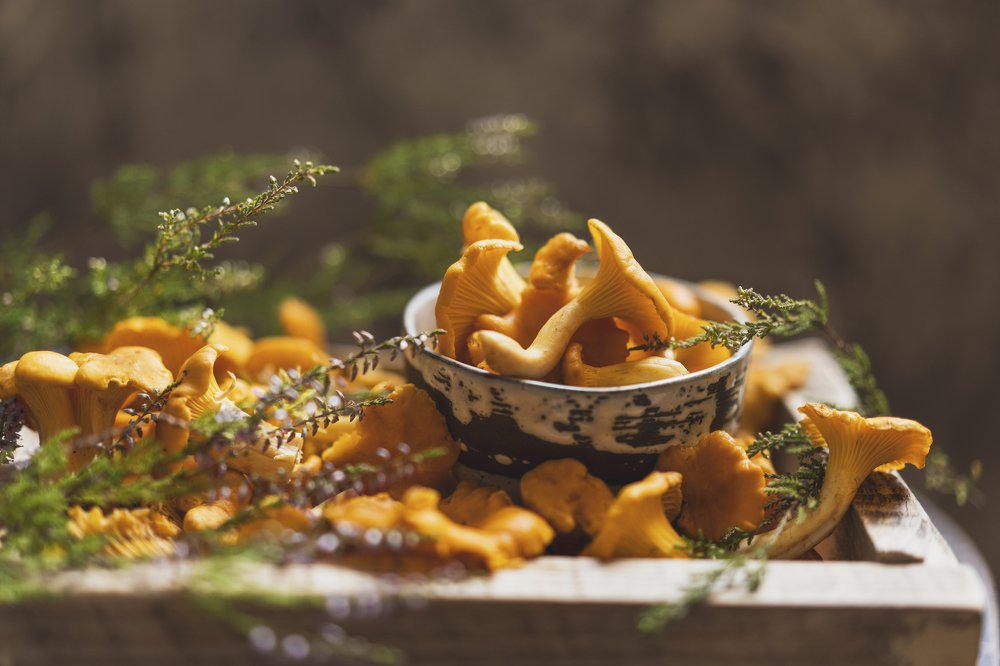 Photograph by Diana Sklarova