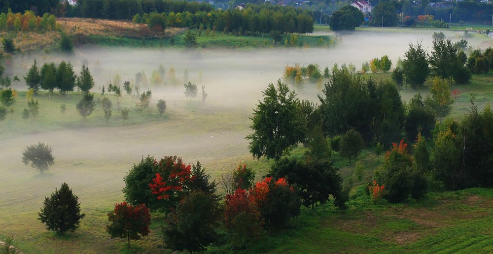 Фотография автора Дима Карабинов