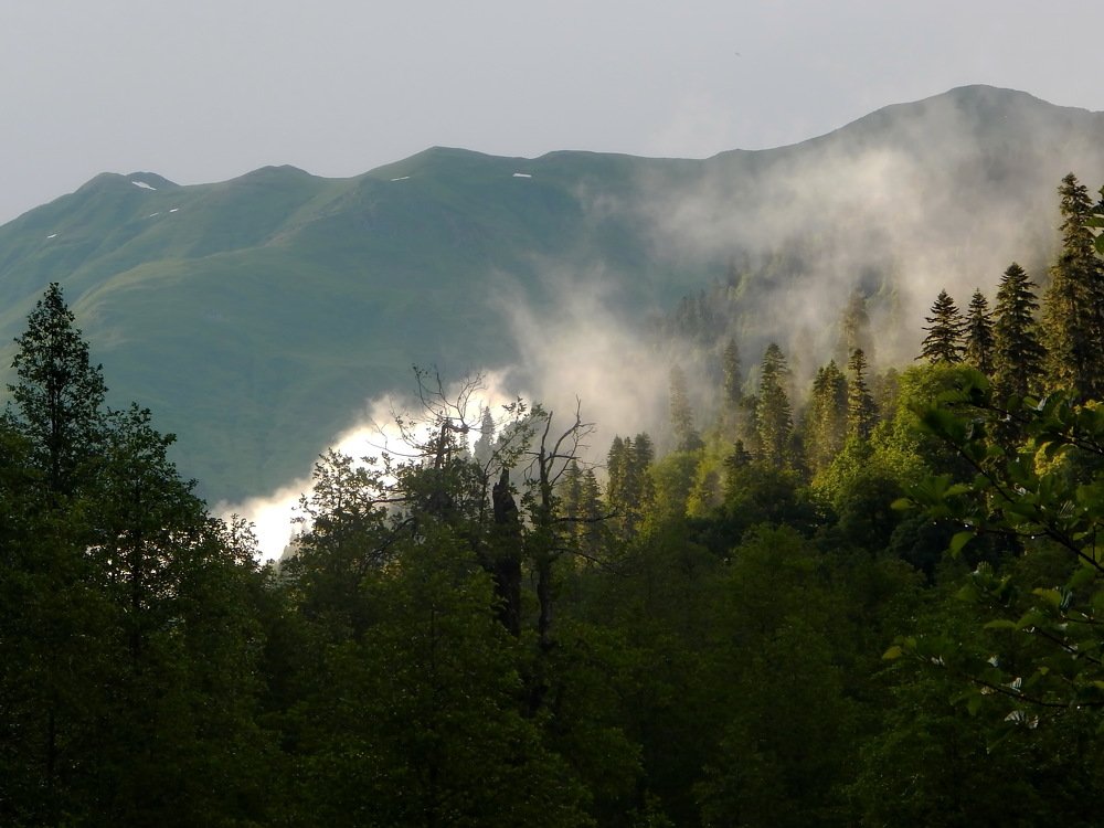 Photograph by Дмитрий Сало