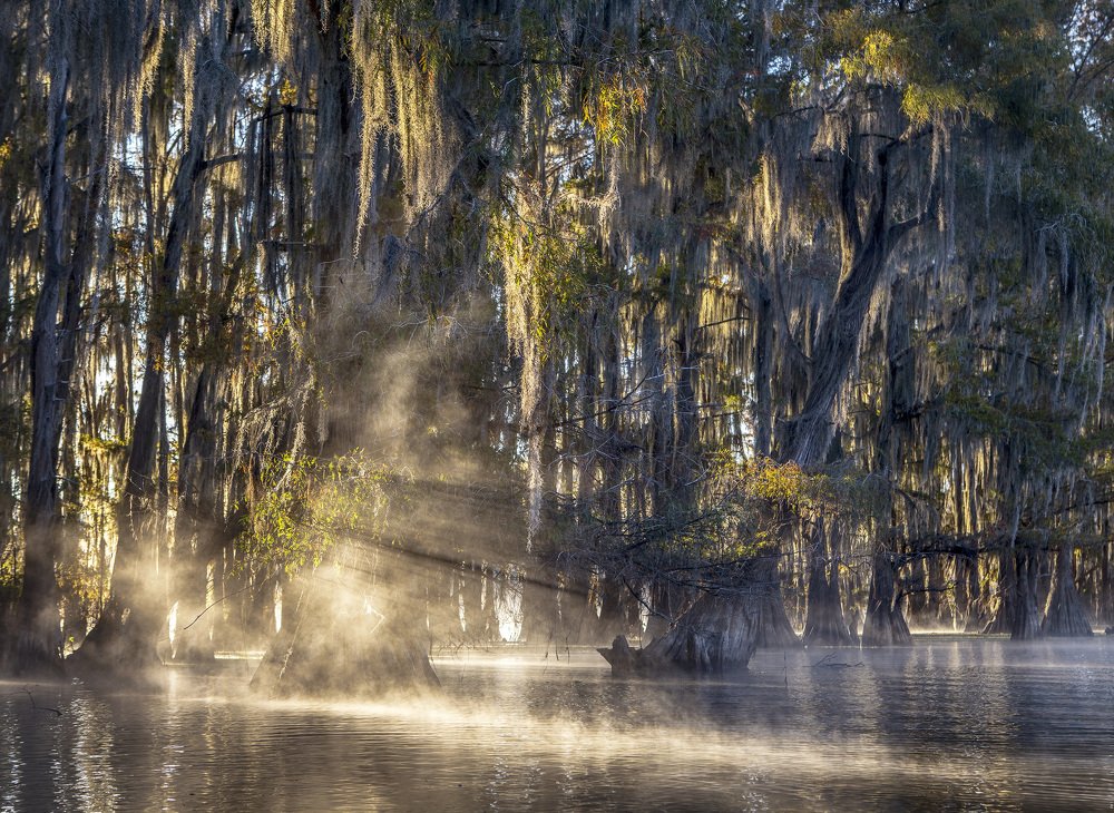 Photograph by Галина Ломако