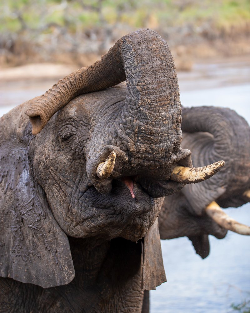 Photograph by Faraja Goodluck