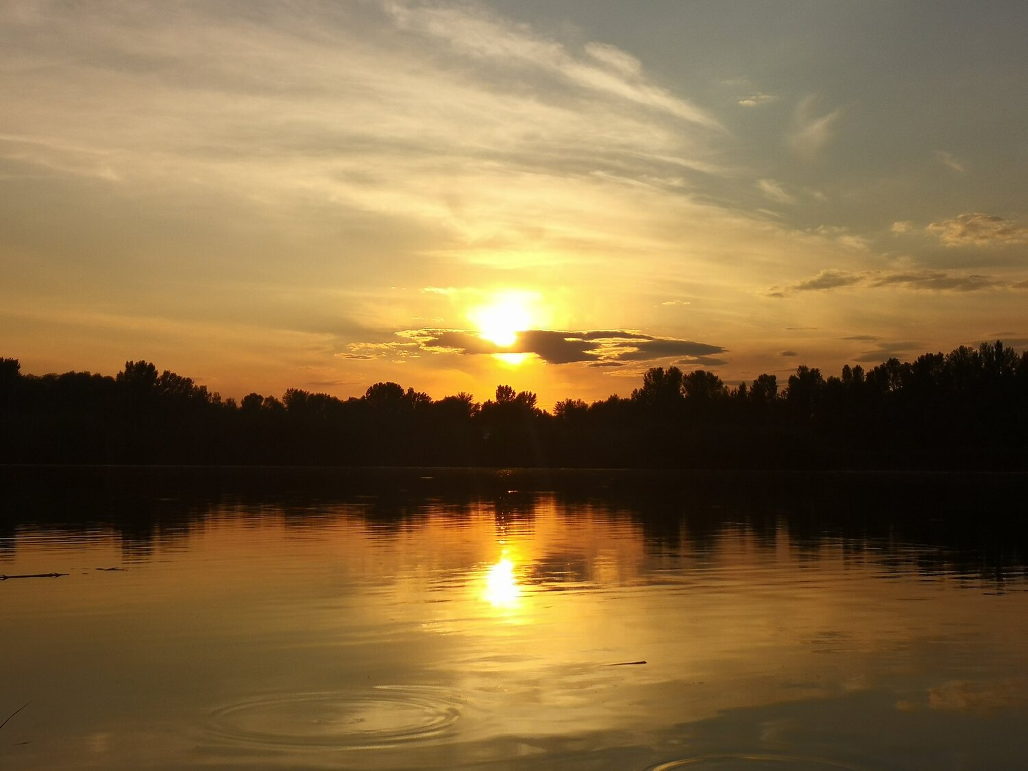 Photo #4839997