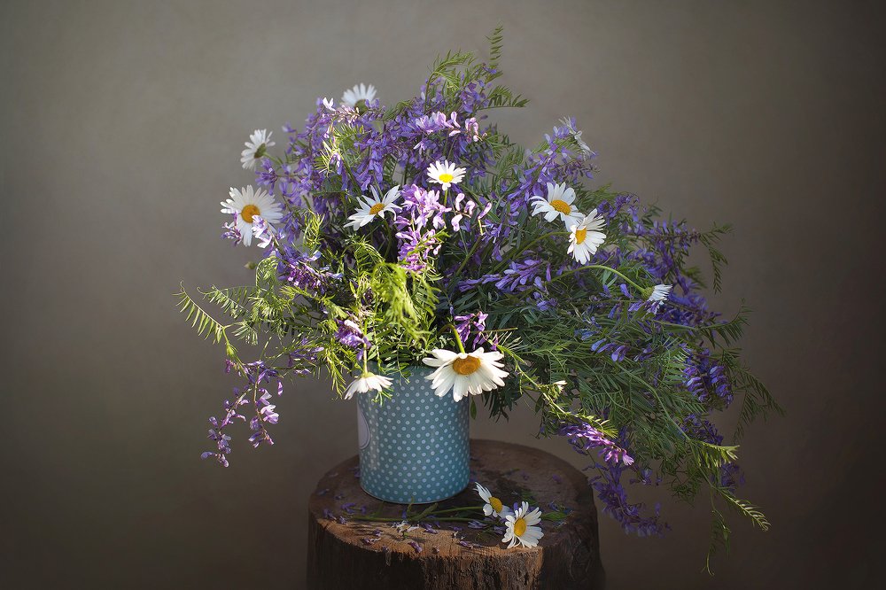 Photograph by Мария Шмидт