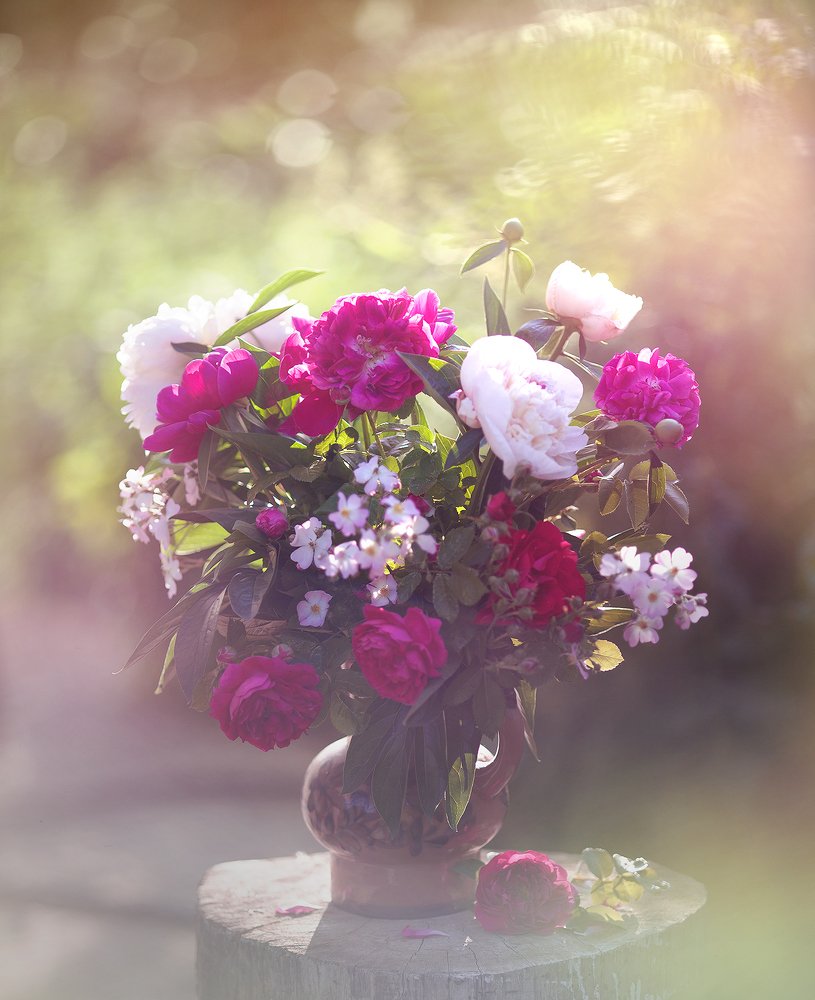 Photograph by Мария Шмидт