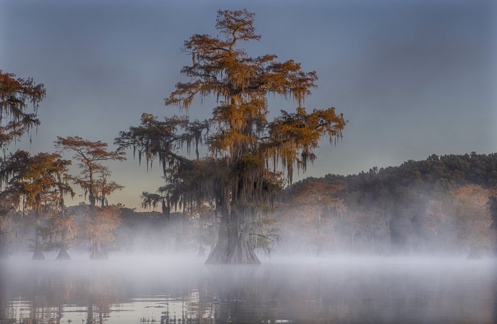 Photograph by Галина Ломако